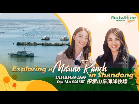 Live: exploring ailunwan marine ranch in e china's shandong