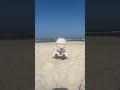 Karl na plaży