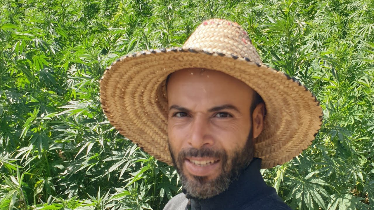 خيرات ومناظر جبال الريف كتامة إقليم الحسيمة