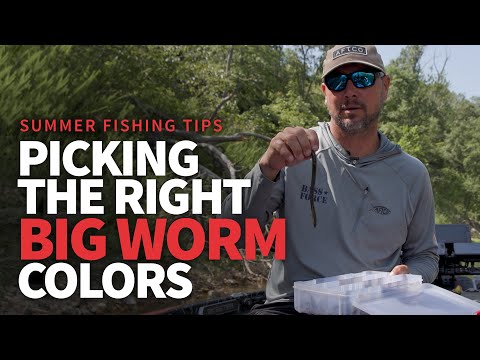 How I Choose my BIG WORM COLORS! (Offshore Bass Fishing)