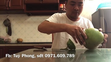 Cây chiết bưởi Ruby siam nhập về ngày 23/12/2019. Sđt 0971.609.789