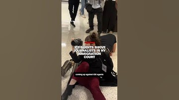 ICE agents shove journalists in NY immigration court