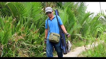 Điểm câu cá Rô Phi khủng ở Tp HCM ✅