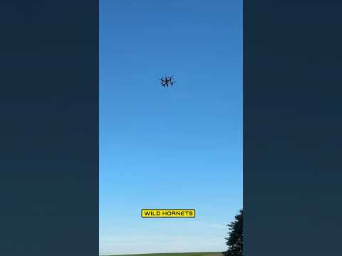 ?? ???????????? ???? ????? ???????? ??????? 8.1 kg ???? #?????????? #drone #wildhornets #fpv