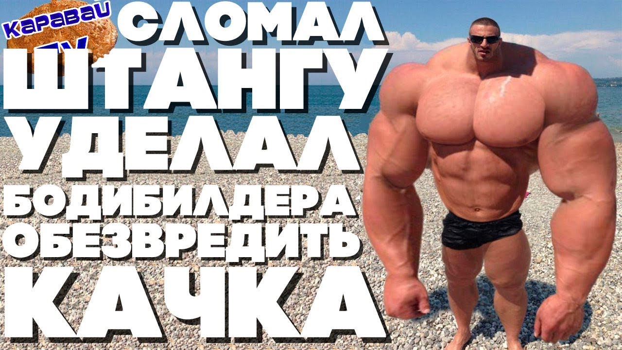 ���� ����������� + ���� �������: ����.