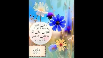 إِنَّ اللَّهَ وَمَلَائِكَتَهُ يُصَلُّونَ عَلَى النَّبِيِّ - القارئ هزاع البلوشي - حالة واتس أب 🌿💚