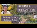 November in a Permaculture Garden: Sprucing Up, Adding Fertility