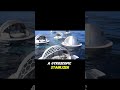 Lazzarini Pearl Suite – The Futuristic Floating Luxury Villa