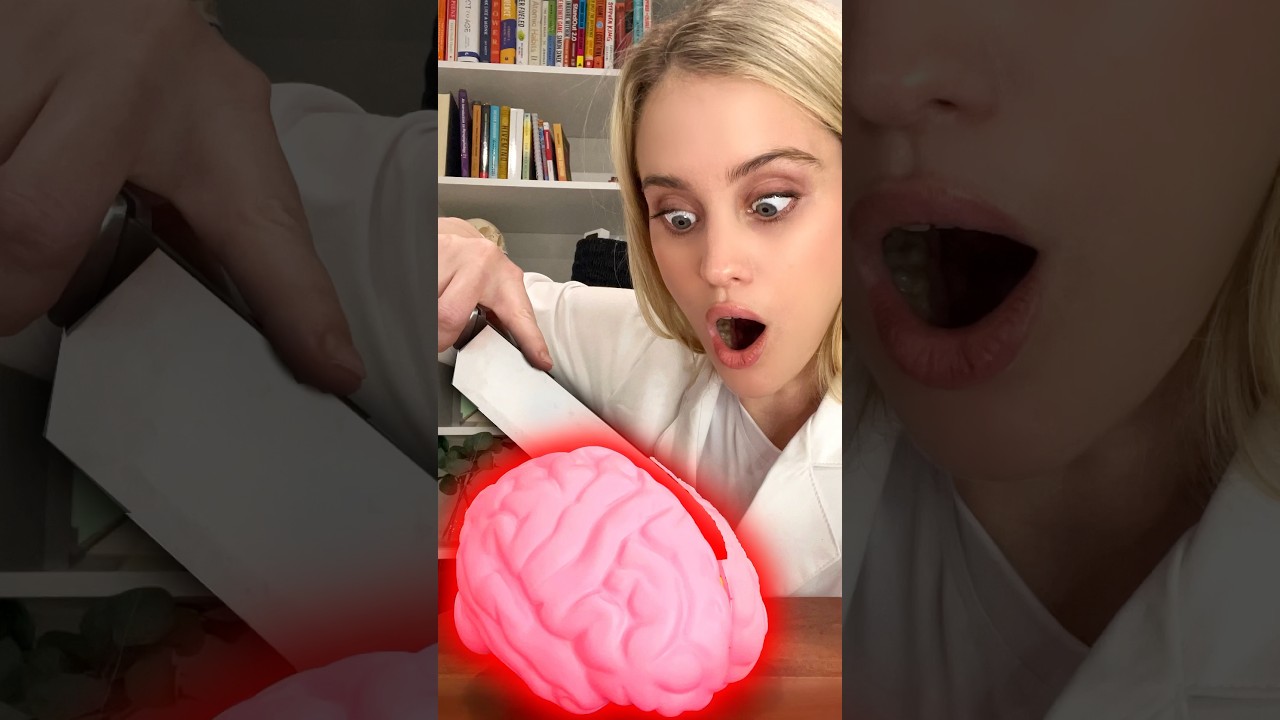 Cutting a BRAIN in HALF