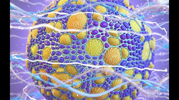 3d max modeling tutorial - Creative Sphere