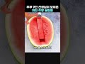 주부 9단 선생님이 보여준 미친 주방 꿀팁들