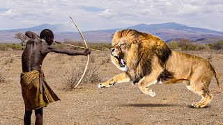 How the Hadzabe Tribe Fights Lions (And Almost Lose!)