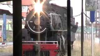TREN DE LA ARAUCANIA FEB. 2009 (3)