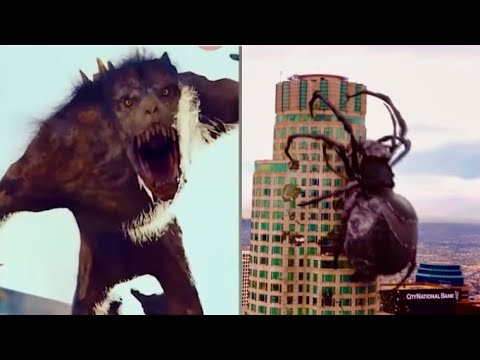 Animal Transformation -