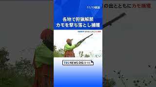 きょうから狩猟解禁　茨城県ではハンターがカモを撃ち落とす　県の職員が取り締まりも実施｜TBS NEWS DIG #shorts