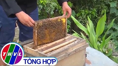 Sẵn sàng cho vụ thu hoạch mật ong bạc hà ở Hà Giang
