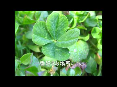 初音ミクと鏡音リンにJITTERIN JINNの クローバー を歌わせてみた