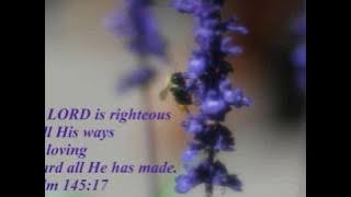 Kizhakku sooryanudichallo-malayalam christian devotional