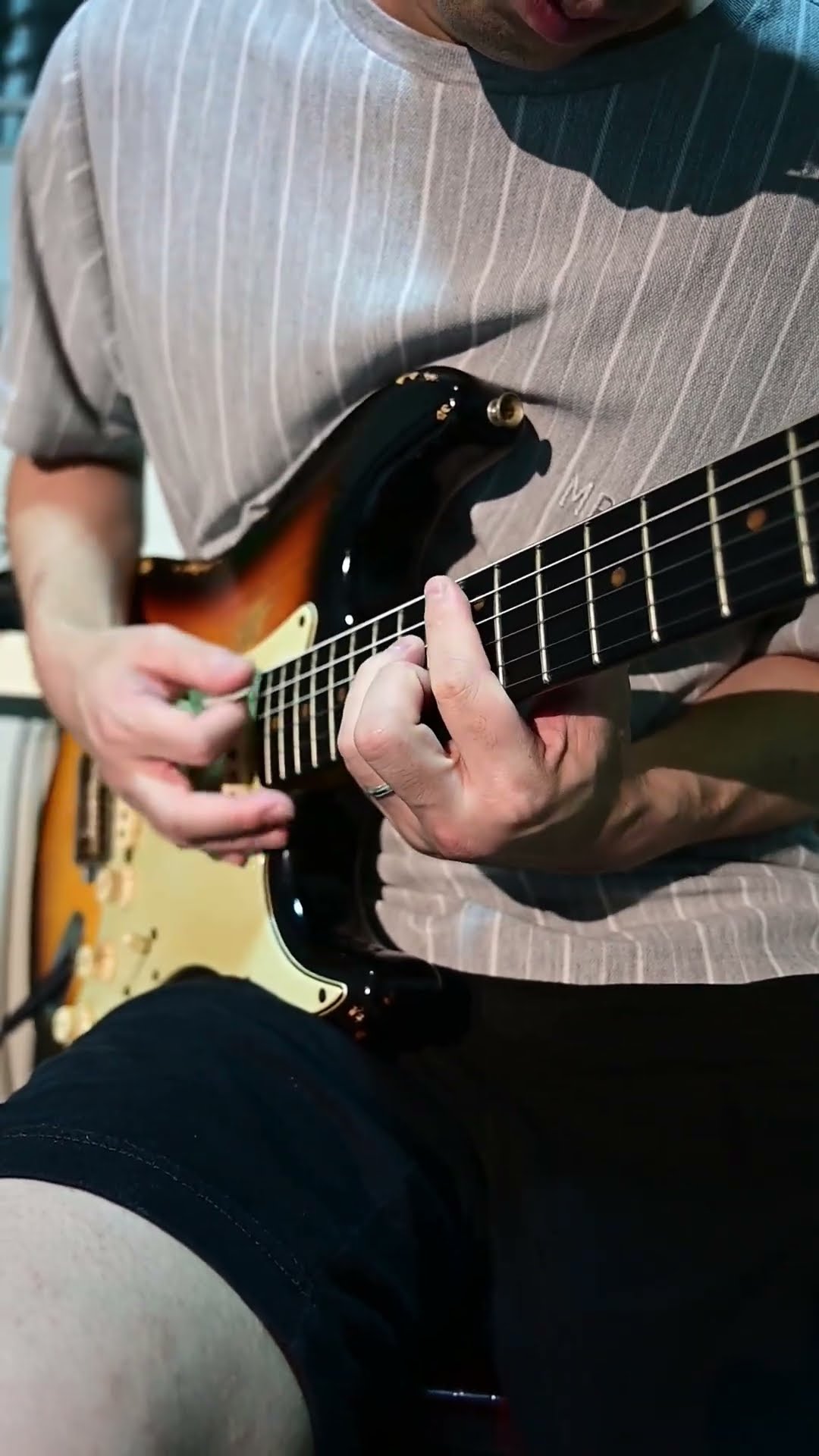 Holy Grail Nano ジョンフルシアンテ John Frusciante's Electro-Harmonix Holy Grail V1 Reverb