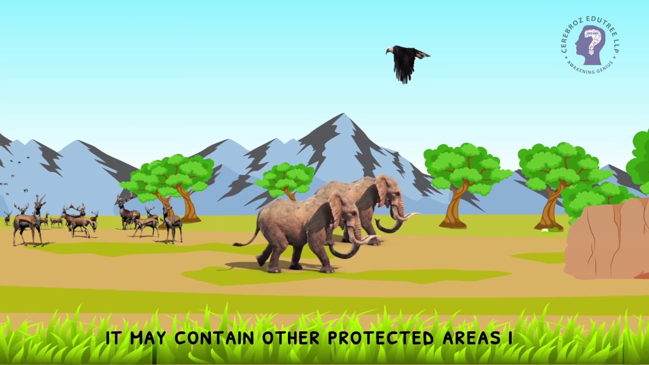 Difference Between National Park Wildlife Sanctuary Biosphere Reserve difference-between-national-park-wildlife-sanctuary-biosphere-reserve