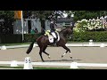 KRéYADE NVDW (Feel Good x Fruhling x Jazz) 4yo semiFinals PAVO CUP test (13Aug2019-1)