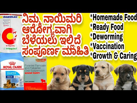 Puppies food| Dog food in Kannada| ನಾಯಿಮರಿಗಳ ಆಹಾರದ ಬಗ್ಗೆ| puppies deworming|. puppies vaccination.