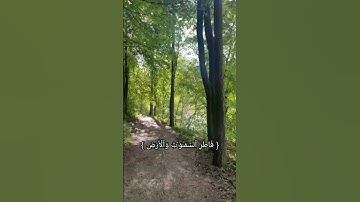 قل اغير الله اتخذ وليا #الشيخ محمد صديق المنشاوي#قران كريم#