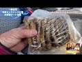 住宅外装メンテナンス工事by高品質アート塗装#vlog #video #viralvideo #香川県 #リフォーム #メンテナンス