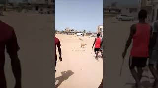 Rabou Rufisque En Route Vers La Che