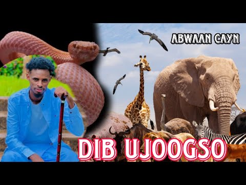 ABWAAN CAYN GABAYGII DIB UJOOGSO 2023