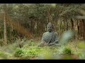 Om Mani Padme Hum | Powerful Mantra | Peaceful Chanting | Buddhist Mantra | Universal Mantra