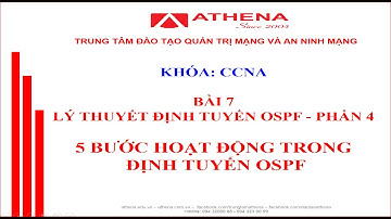 Bài 7 - LÝ THUYẾT ĐỊNH TUYẾN ĐỘNG OSPF - P4 _ 5 BƯỚC HOẠT ĐỘNG TRONG ĐỊNH TUYẾN OSPF