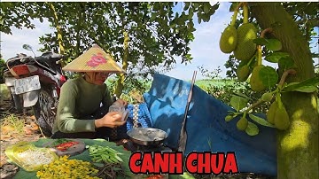 Đi Săn Trên Cánh Đồng Lúa Chín Vàng Trúng Ngay Ổ Cá Rô Mề, Trê Trắng & Lóc Đồng..| ONMT #Tập 124