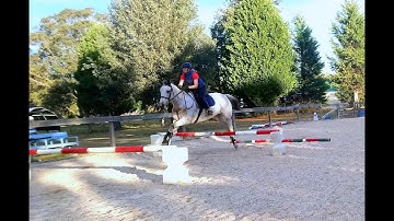 The BEST basic Show Jumping Grid of Bounce Fences