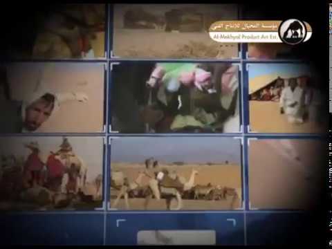 سلسلة نقطة ضوء اقليم كردفان السودان