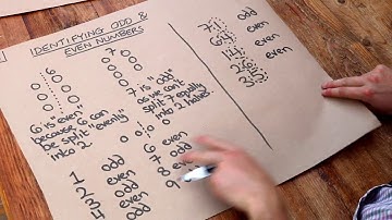 Key Skill - Identify Odd & Even Numbers
