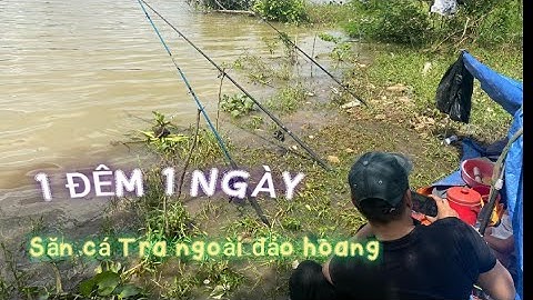 1 NGÀY 1 ĐÊM SĂN CÁ TRA TRÊN ĐẢO HOANG CÙ LAO CỎ! - CÂU CÁ SÔNG ĐỒNG NAI ! - Vũ phạm !!!