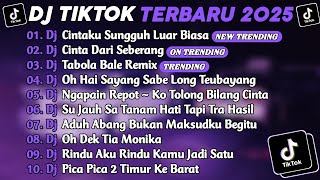 DJ TIKTOK TERBARU 2025 ~ DJ CINTAKU LUAR BIASA🎵DJ CINTA DARI SEBERANG🎵 ~ FULL ALBUM