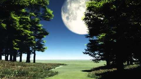 Vue 10 Animation Full moon forest animation