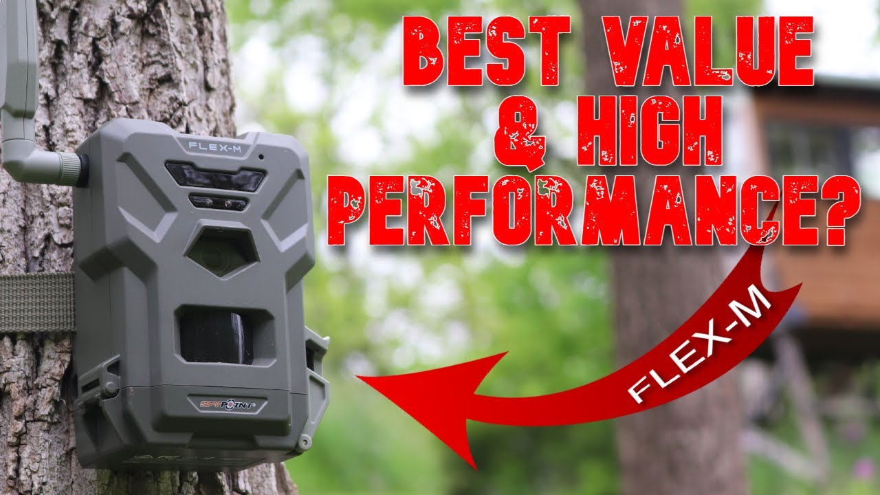 Spypoint FLEX-M Cellular Trail Camera: Best Value $79.99 Dual-Sim 28MP