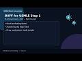 USMLE Step1 BAFF Explained