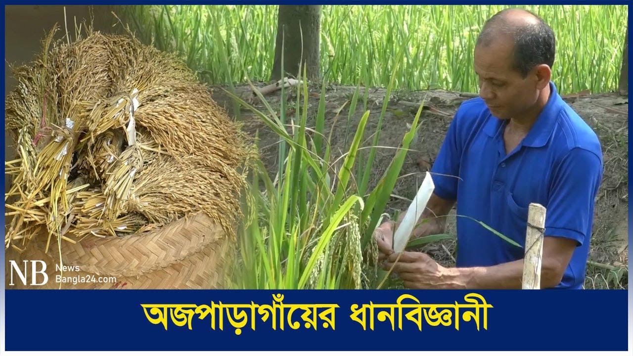 Sentu Kumar কৃষক থেকে ধান গবেষক সেন্টু হাজং, ১৭ বছরে ২৩ জাত উদ্ভাবন | Sentu Kumar ...