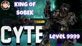 Warframe - Cyte Build Kuva Sobek Level Cap Ready
