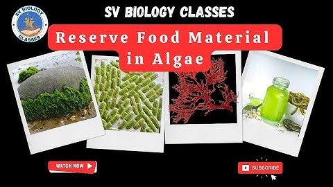 Reserve Food Material In Algae | NEET B.Sc.  MSc Entrance and Assistant Professor