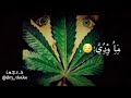 حشيشة ما ودي ابطل ميرجوانة شاشة سودا
