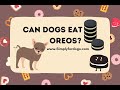 Are Oreos Safe for Dogs? Understanding the Risks of Feeding Oreos to Canine Friends