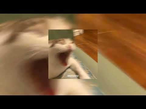 Ramz Barking Speed Up