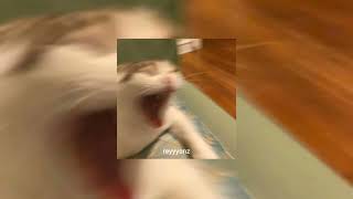 ramz - barking (speed up)