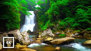 4K Serene Waterfall and River Ambience | Relaxing Nature Sounds for Sleep & Study | Japan