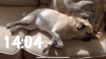 How  to make your own countdown video